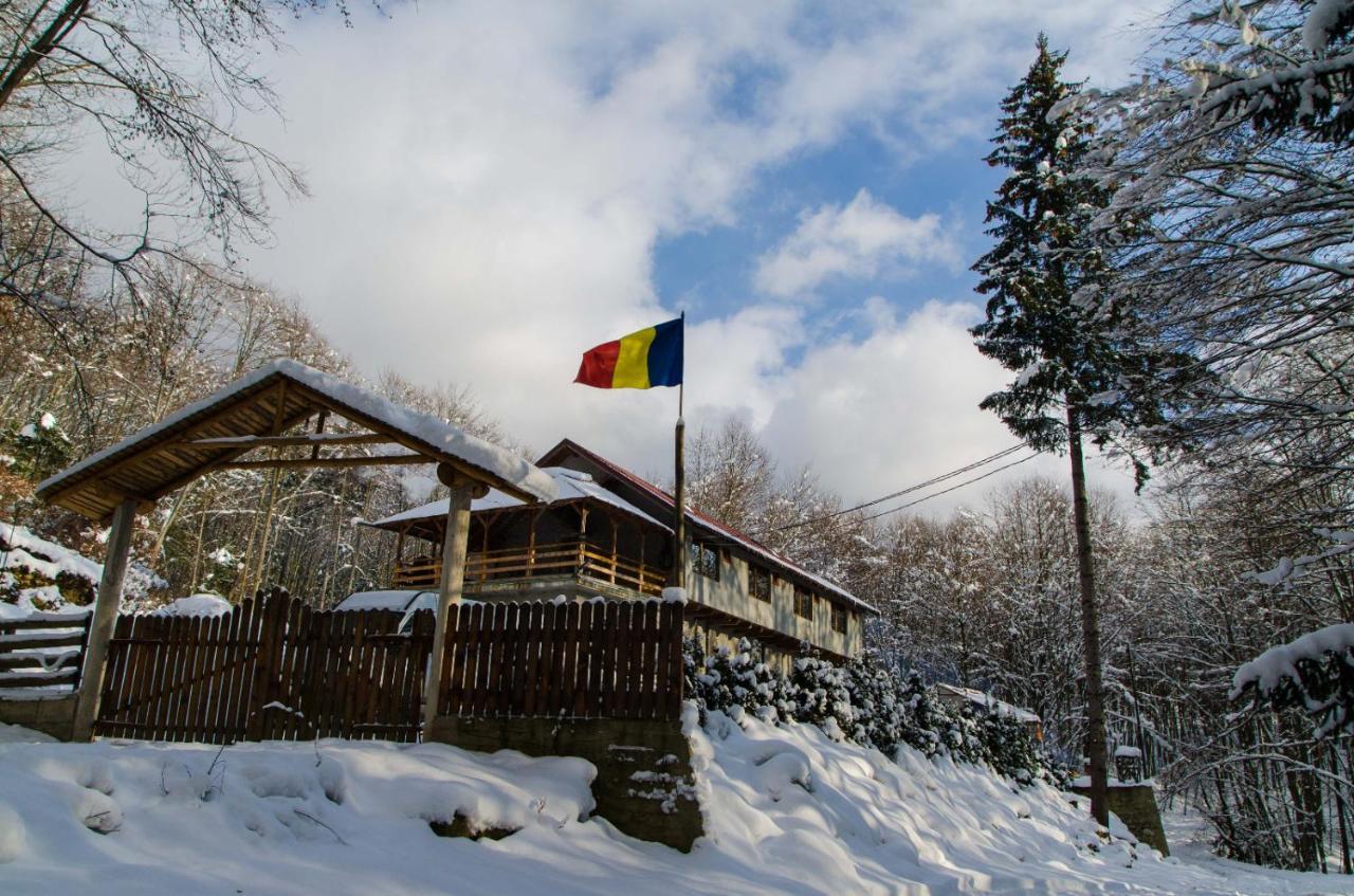 Cabana Valea Bradului Nucsoara  Exterior photo