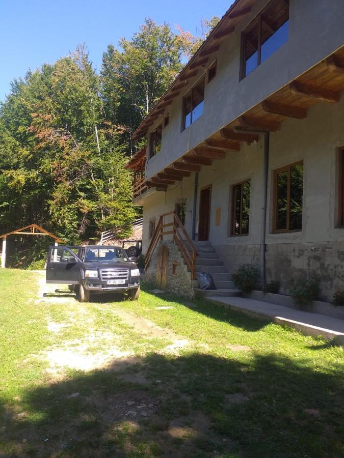 Cabana Valea Bradului Nucsoara  Exterior photo